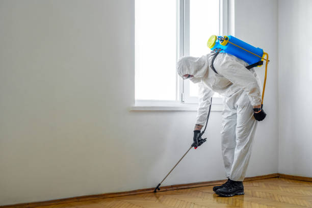 Best Pest Prevention Services  in Alamae, NC